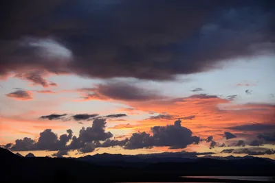 DSC_3324 (Large).JPG